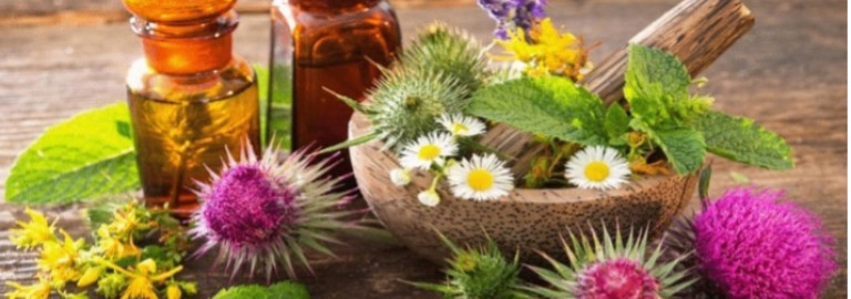 Naturheilmittel