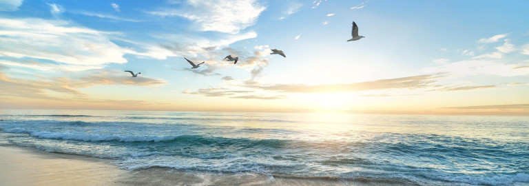 Sonnenaufgang am Meer